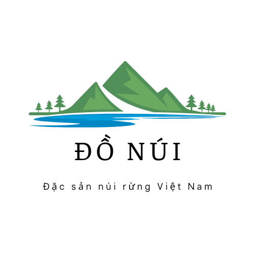 Logo website Đồ Núi